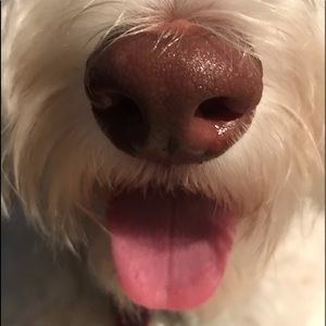 Meet your Posher, Jo